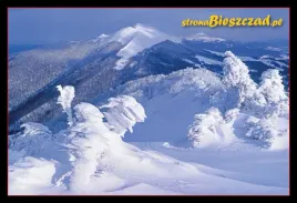 kolekcjonerska-karta-przyrody-bieszczady-3