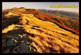 kolekcjonerska-karta-przyrody-bieszczady-2