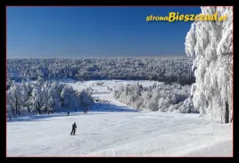 kolekcjonerska-karta-przyrody-bieszczady-8