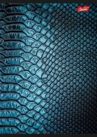 zeszyt-a5-60k-linia-after-dark-mix-pakiet-10-sztuk