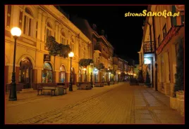 kolekcjonerska-karta-przyrody-sanok