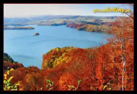 kolekcjonerska-karta-przyrody-solina-2