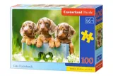 puzzle-100-urocze-jamniki-b-111213