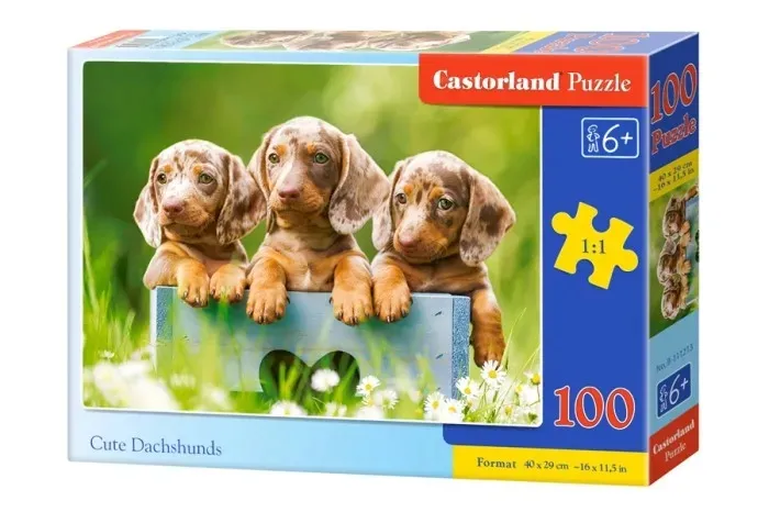 puzzle-100-urocze-jamniki-b-111213-stan-nowy