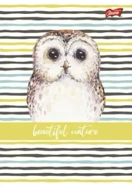 zeszyt-a5-16k-trzylinia-kolorowa-dziewczecy-pakiet-15-sztuk