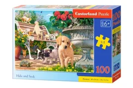 puzzle-100-chowanie-i-szukanie-b-111220