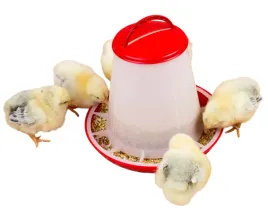 karmidlo-karmidelko-zasypowe-1-kg-dla-drobiu-kur