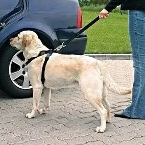 trixie-szelki-dla-psa-rozmiar-s-marka-trixie