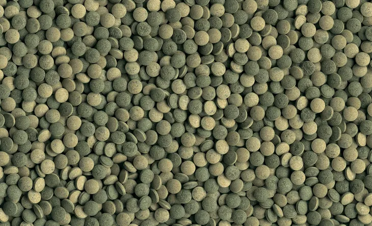 tetra-pleco-tabletes-58-tabletek-typ-przetworzone