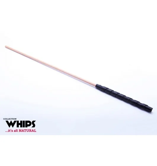 whips-trzcinka-bukowa