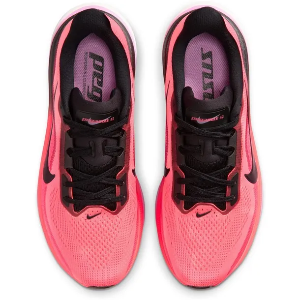 pegasus-42-marka-nike