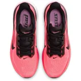 pegasus-42-marka-nike