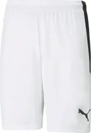 spodenki-meskie-puma-teamliga-biale-704924-04-rozm-s