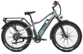 rower-elektryczny-jobobike-robin-pro-48v-20ah-szary