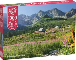 cherrypazi-puzzle-gasienicowa-hall-in-tatras-1000-elementow