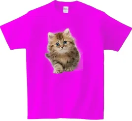 koszulka-t-shirt-koty-producent