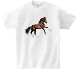 koszulka-t-shirt-konie-producent
