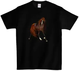 koszulka-t-shirt-konie-producent