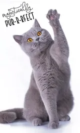 recznik-kot-brytyjski-30x50-bawelna-do-rak-twarzy-carbotex-tnl191342