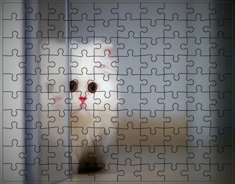 puzzle-koty-producent