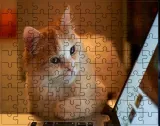 puzzle-koty-producent