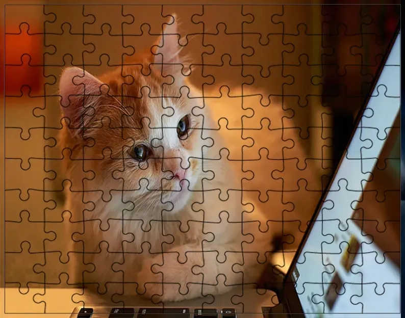puzzle-koty-producent