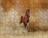 puzzle-konie-producent