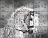 puzzle-konie-producent