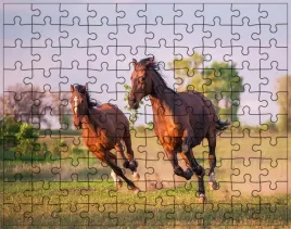 puzzle-konie-producent