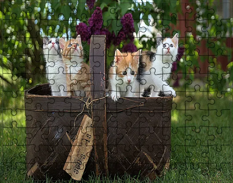 puzzle-koty-producent