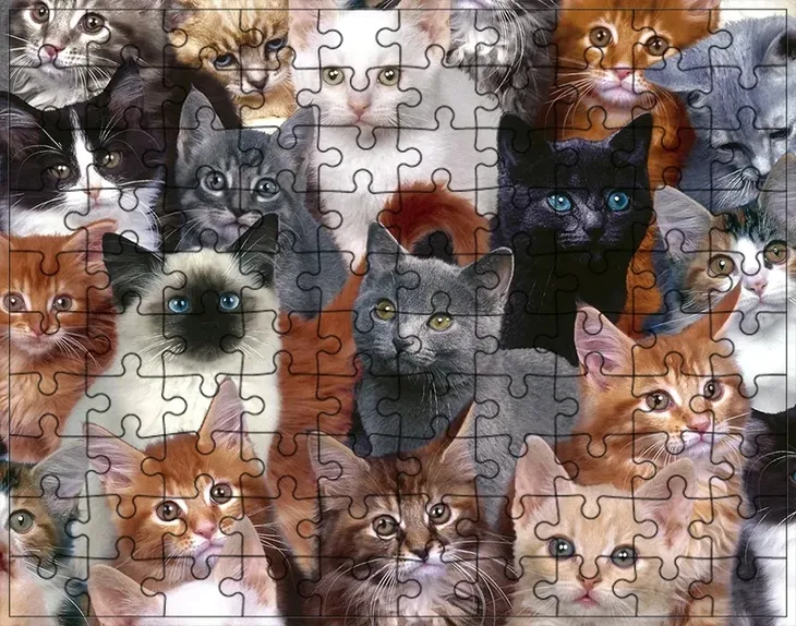 puzzle-koty-producent
