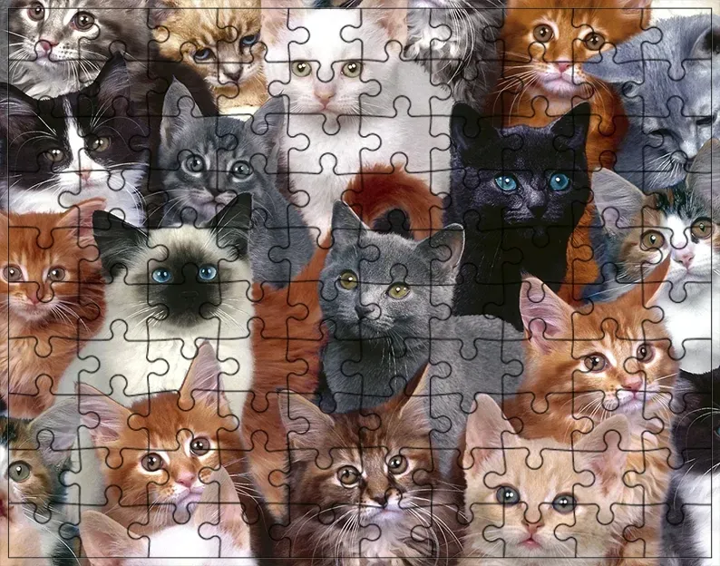puzzle-koty-producent