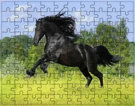 puzzle-konie-producent