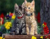 puzzle-koty-producent