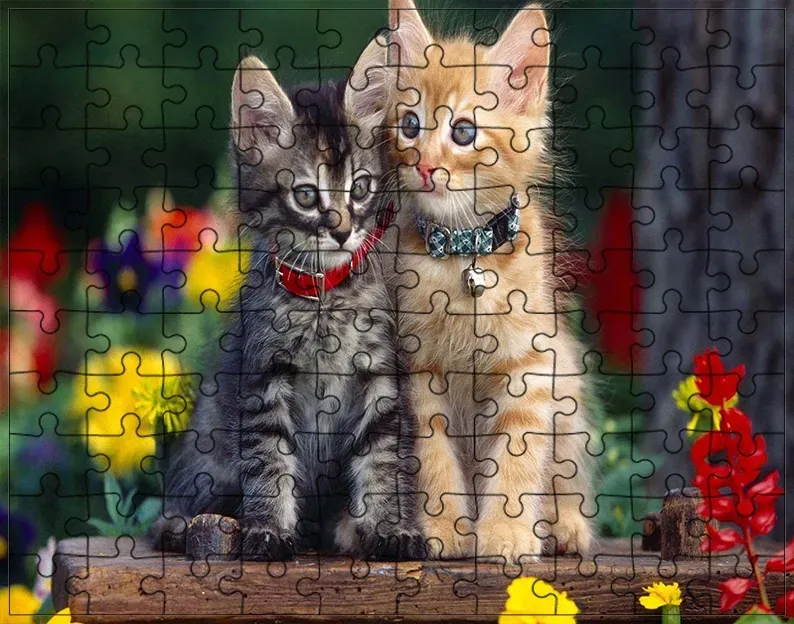 puzzle-koty-producent