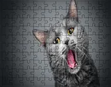 puzzle-koty-producent