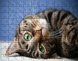 puzzle-koty-producent