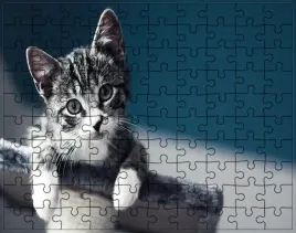 puzzle-koty-producent