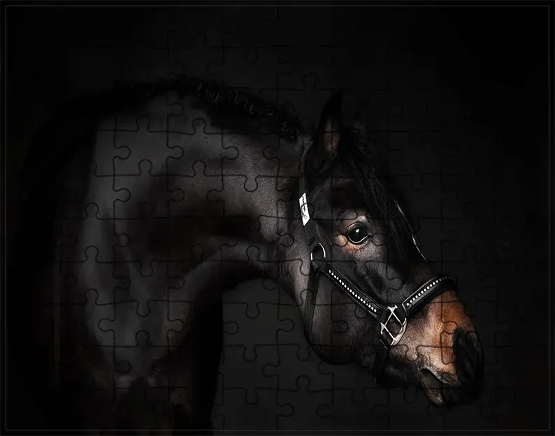 puzzle-konie-producent