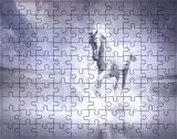 puzzle-konie-producent