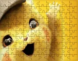 puzzle-pokemon-producent