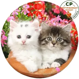 oplatek-na-tort-koty-producent