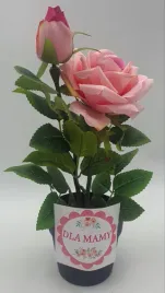 kwiat-roza-w-doniczce-dla-mamy