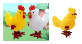 kogut-nakrecany-12szt-kt-100