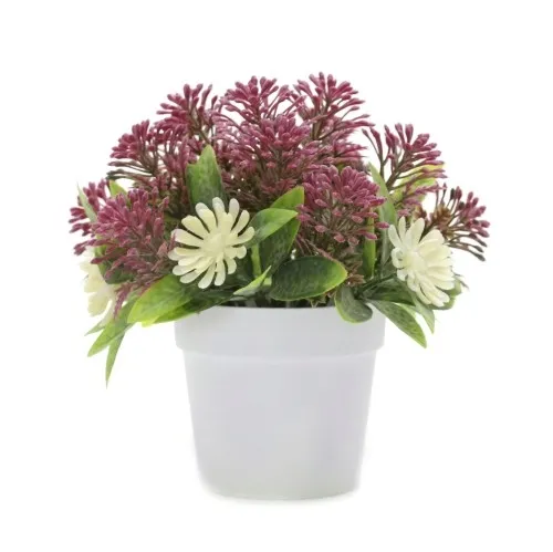 kwiat-w-doniczce-stan-nowy