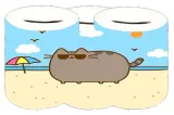 skarbonka-pusheen-producent