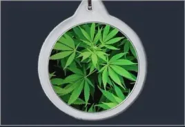 brelok-do-kluczy-marihuana-producent