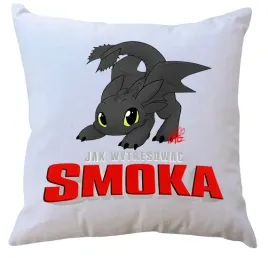 poduszka-jak-wytresowac-smoka-producent