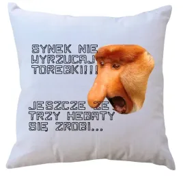 poduszka-dla-janusza-producent