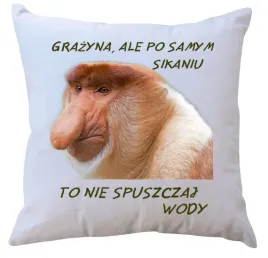 poduszka-dla-janusza-producent